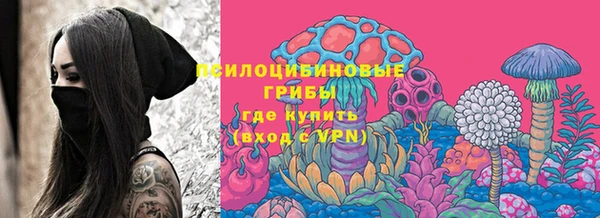 крисы Балахна