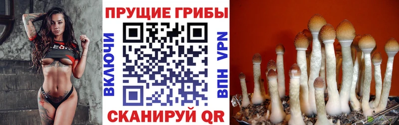 Псилоцибиновые грибы мухоморы  Купить  Далматово 